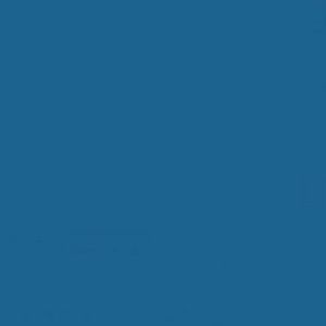 Meet your Posher, Elsaid